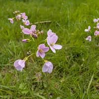 Wildlife encounter 4