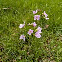 Wildlife encounter 3