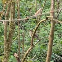 Wildlife encounter 20