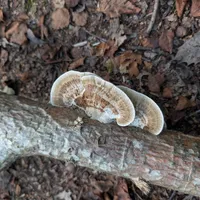 Wildlife encounter 8