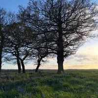 Wildlife encounter 27