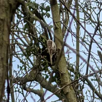 Wildlife encounter 33