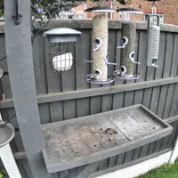 Wildlife encounter 4