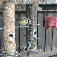 Wildlife encounter 1