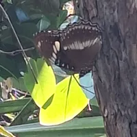 Wildlife encounter 10