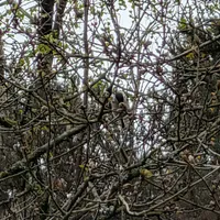 Wildlife encounter 14