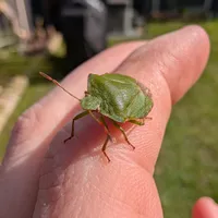 Wildlife encounter 18