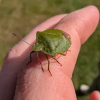 Wildlife encounter 16