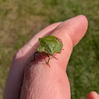 Wildlife encounter 17