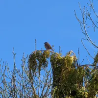 Wildlife encounter 15