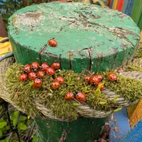 Wildlife encounter 19