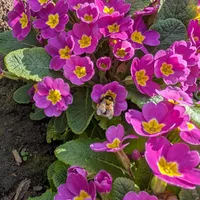 Wildlife encounter 14