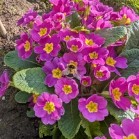 Wildlife encounter 13