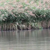 Wildlife encounter 17