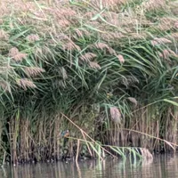 Wildlife encounter 16