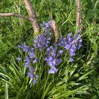 Wildlife encounter 28