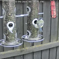 Wildlife encounter 5