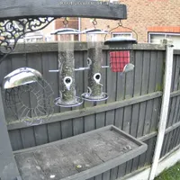 Wildlife encounter 4