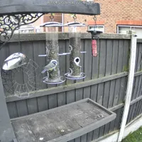 Wildlife encounter 3