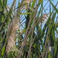 Wildlife encounter 21