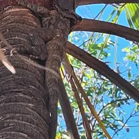 Wildlife encounter 16