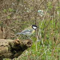 Wildlife encounter 34