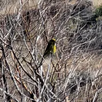 Wildlife encounter 16