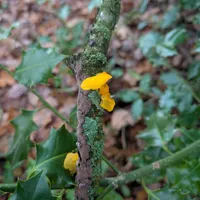 Wildlife encounter 3