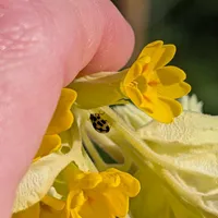 Wildlife encounter 3
