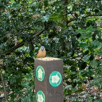 Wildlife encounter 3