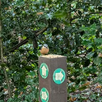 Wildlife encounter 1