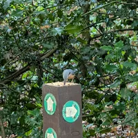 Wildlife encounter 2