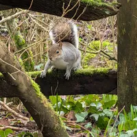 Wildlife encounter 3