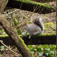 Wildlife encounter 5