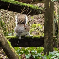 Wildlife encounter 2