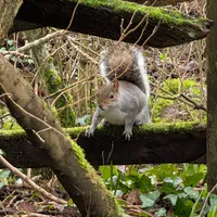 Wildlife encounter 4