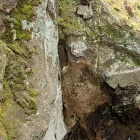 Wildlife encounter 16