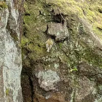 Wildlife encounter 17