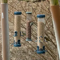 Wildlife encounter 29