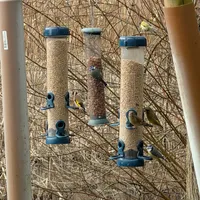 Wildlife encounter 28