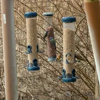 Wildlife encounter 31