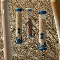 Wildlife encounter 26