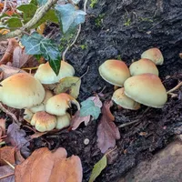 Wildlife encounter 6